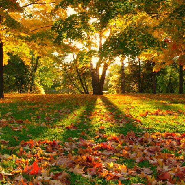 <cite> - Jaya </cite>