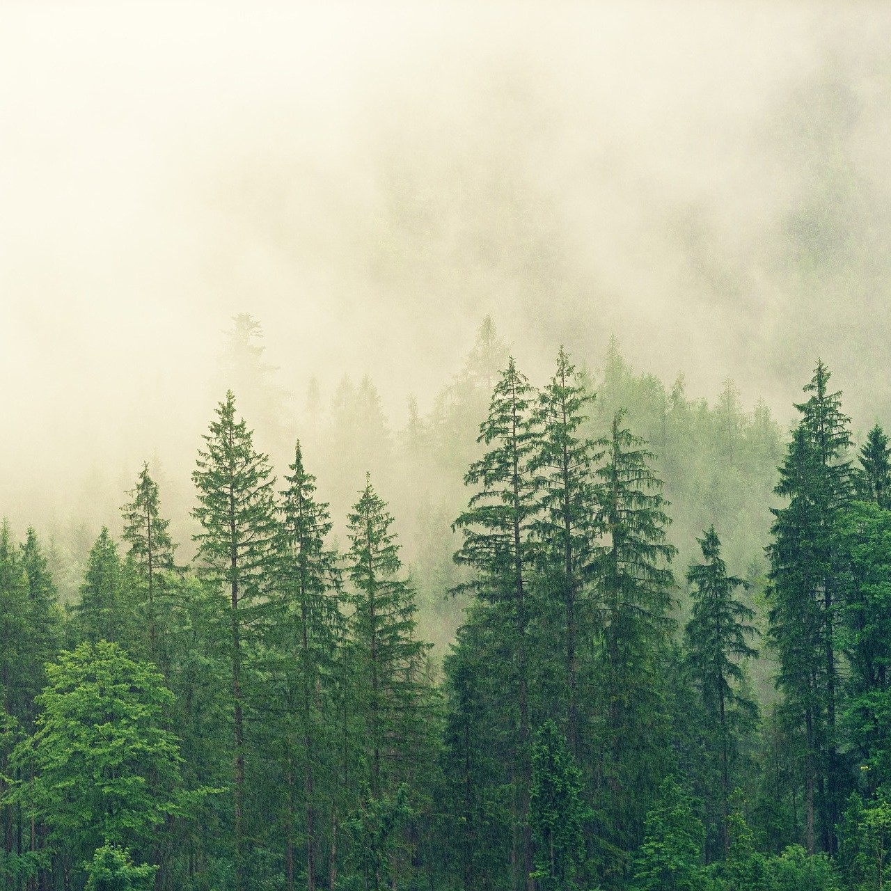 <cite> - Michael </cite>