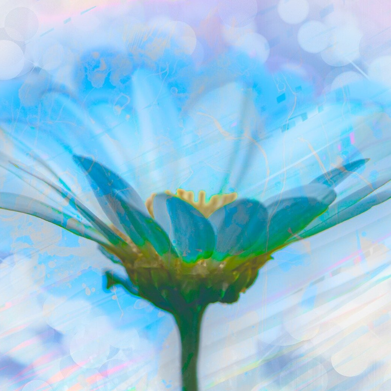 <cite> - Aileen </cite>